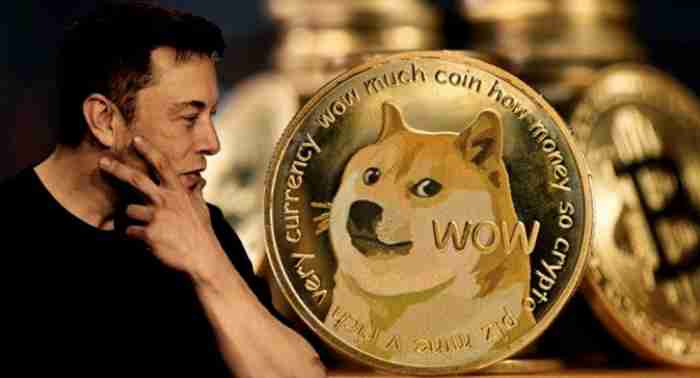 马斯克加密货币有哪些?2025年五大最值得关注的马斯克加密货币推荐