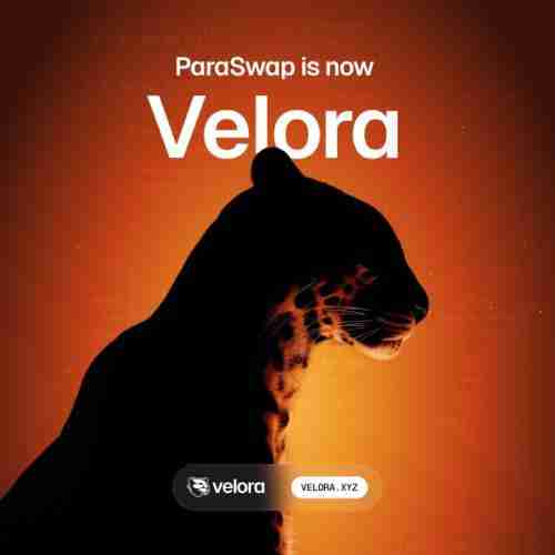 Velora(VLR)币是什么?怎么样?Velora项目概述,代币经济与未来发展介绍