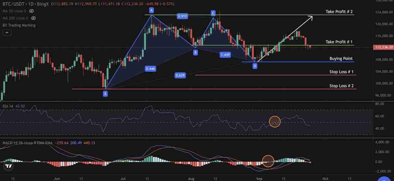 什么是 Gartley(伽特力) 模式?如何利用它找出加密货币市场反转点的技巧