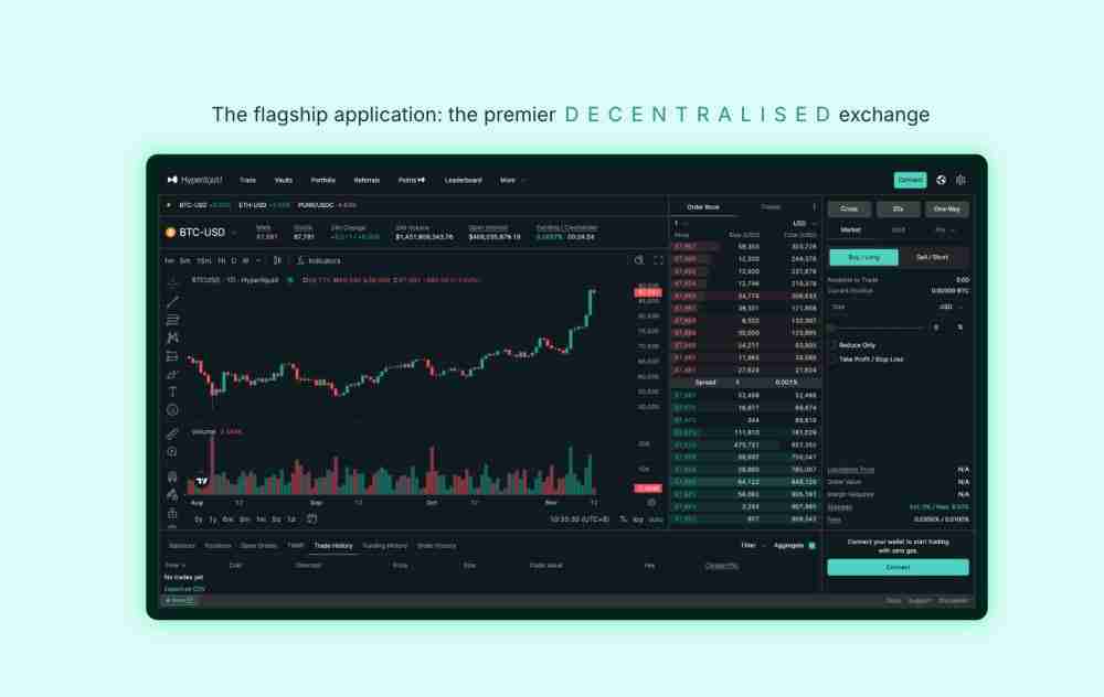 什么是Hyperliquid (HYPE)币?未来前景如何?HYPE币2025, 2026-2030年价格预测