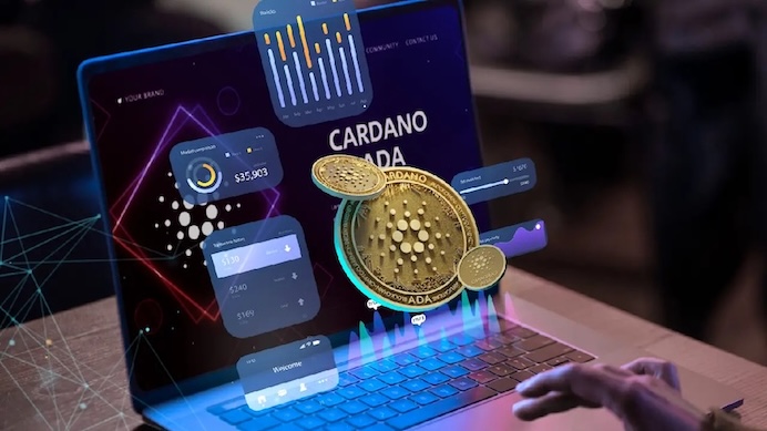 加密货币投资教学:币圈新手必看七步骤入门指南! - php中文网