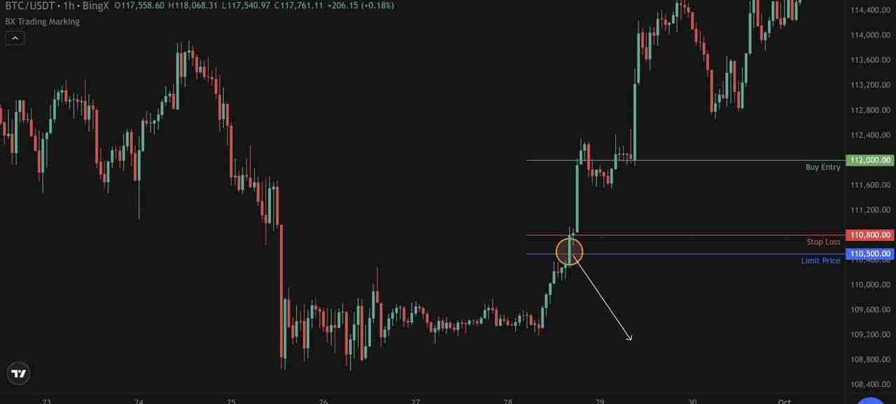 止损单vs. 限价止损单全面指南:优缺点、类型以及使用介绍