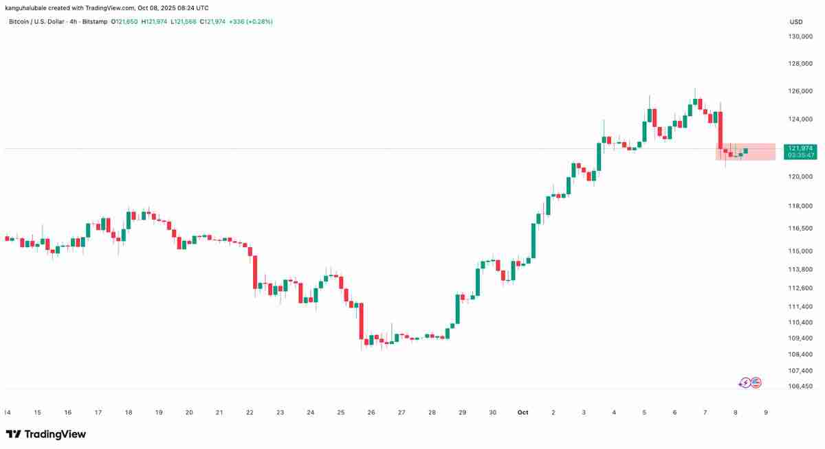 分析师称比特币(BTC)仍有增长空间:30万美元价格目标依然可期