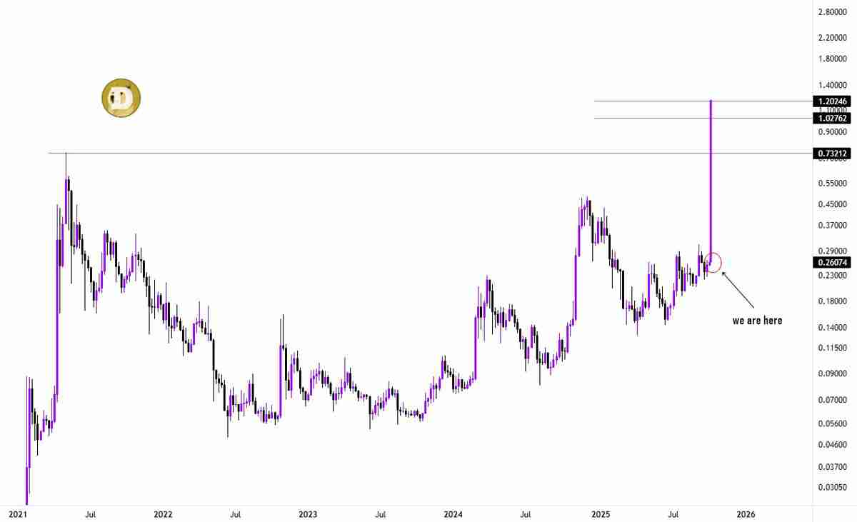 一文详细了解上次该指标亮起绿色时,狗狗币(DOGE)价格上涨了445%