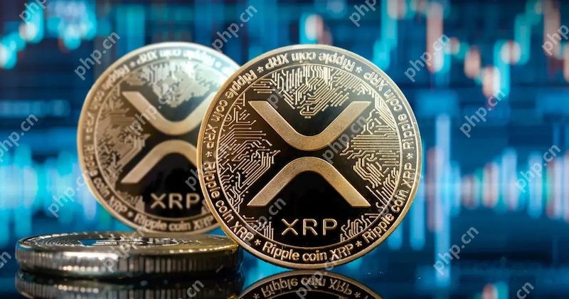 瑞波币(XRP)是什么?怎么买?瑞波币概述、购买指南 - php中文网