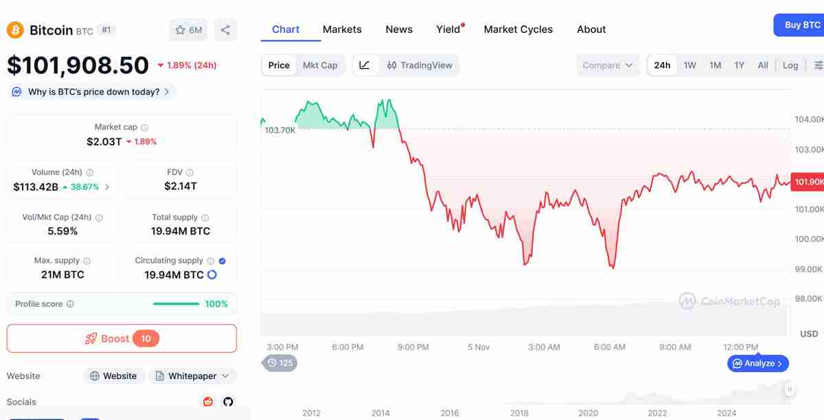 随着比特币(BTC)跌破10万美元,Arthur Hayes与Bitwise首席投资官仍维持看涨立场解读