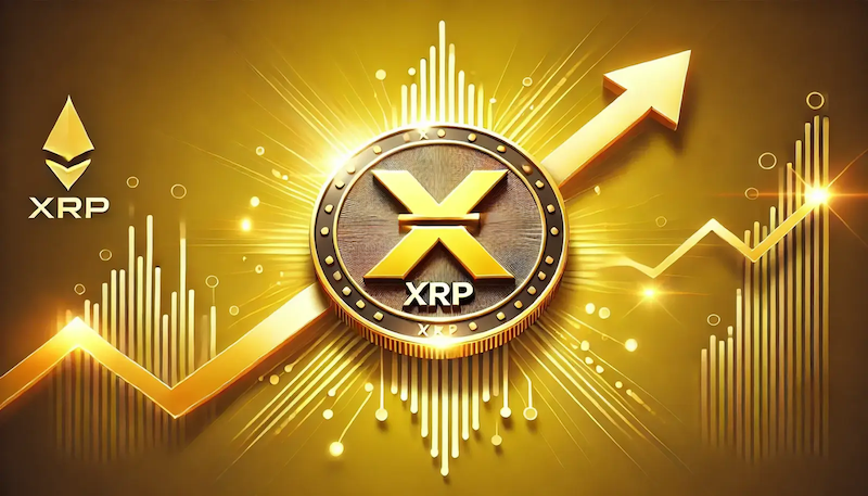 XRP现货ETF上线提振市场动能,SUBBD代币崛起成「下一个1000x」押注 - php中文网