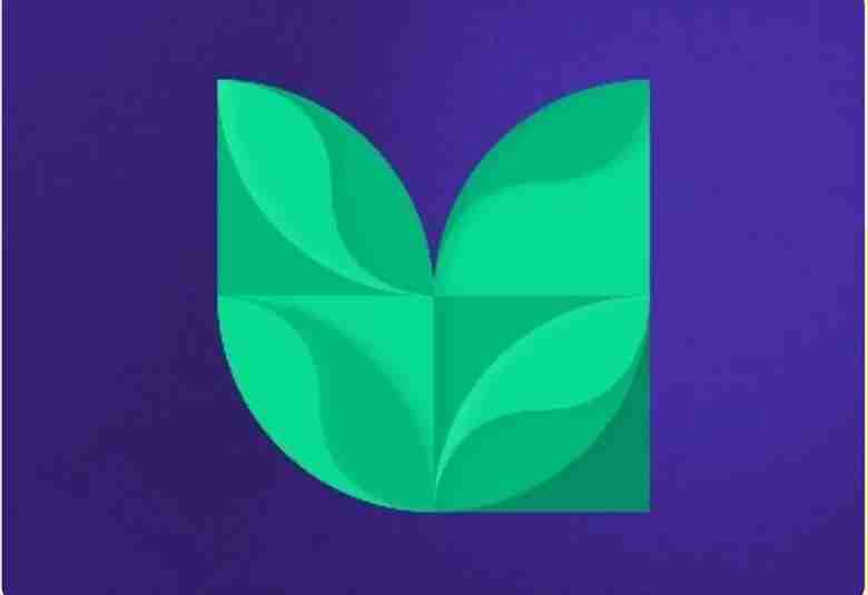 vernus (ver)币是什么? 代币经济学、路线图和价格预测 2025-2030年