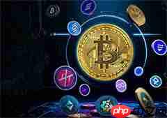 Sol币和XRP币哪个更值得投资