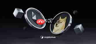 狗狗币和以太坊有何区别