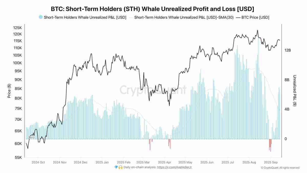 比特币(BTC)分析师深度分析:第九次看涨RSI信号触发后或将迎来35%暴涨行情