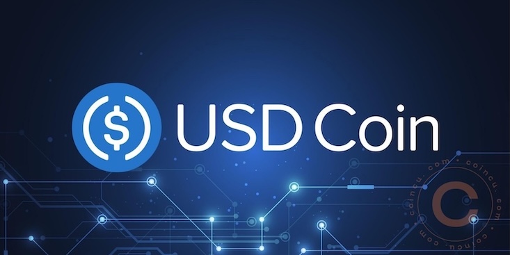 什么是usdc(usdcoin)?如何运作?usdc用途、存储及未来详解 - php中文网