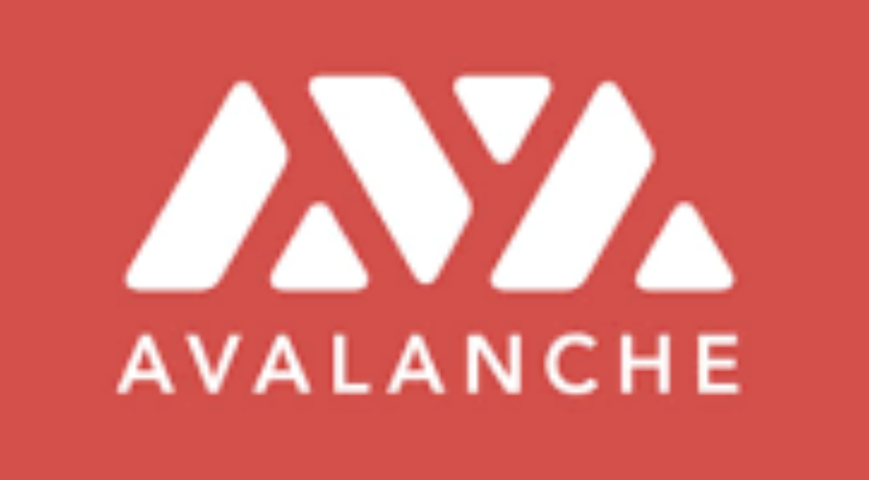 国际虚拟币市值排行榜2025 国际虚拟币市值前十名盘点 - php中文网