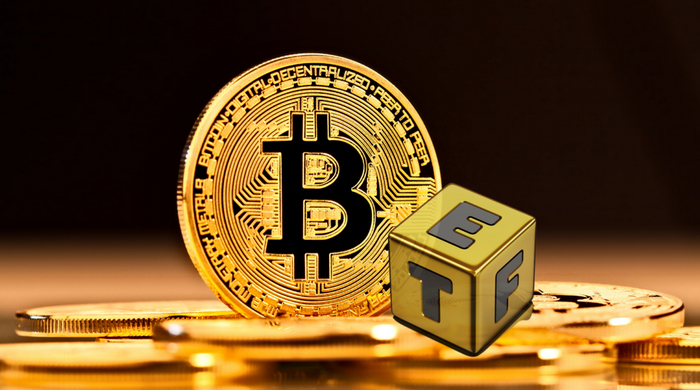 Doge ETF是什么?在哪里可以购买Doge ETF? - php中文网