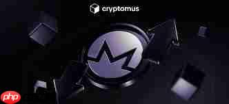 XMR币是否能涨到1000美元