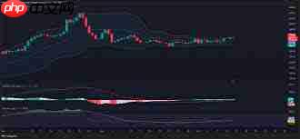 XMR币是否能涨到1000美元