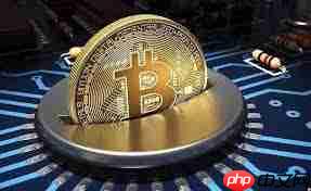 币圈买什么币能盈利