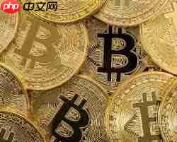 国内最好的数字货币平台有哪些排名