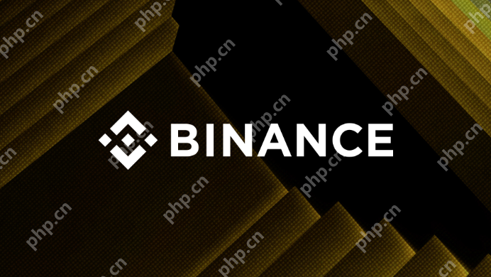 怎么把币安App安装到手机 币安官网获取移动端的详细教程 - php中文网