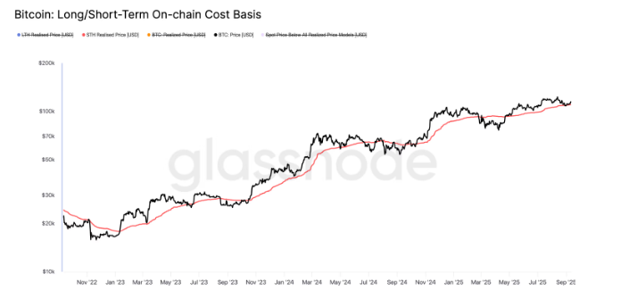 经济崩溃之际比特币的上涨,是看涨还是看跌?