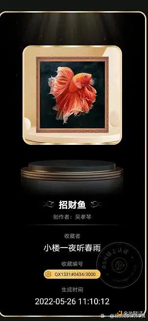 如何划分民事责任：NFT发售平台跑路  买家藏品失踪