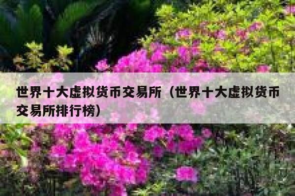 世界十大虚拟货币交易所（世界十大虚拟货币交易所排行榜） 第1张