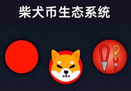 下载 (5).jpg