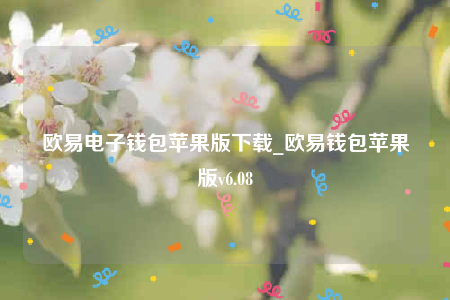 欧意电子钱包苹果版下载_欧意钱包苹果版v6.08