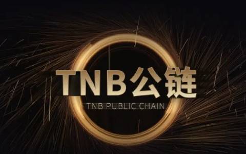 binance官网下载(v6.1.16)_binanceUSTD下载4