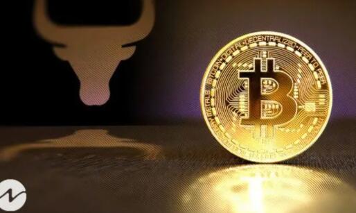 虚拟货币平台排名_比特币app官网哪个最安全插图4