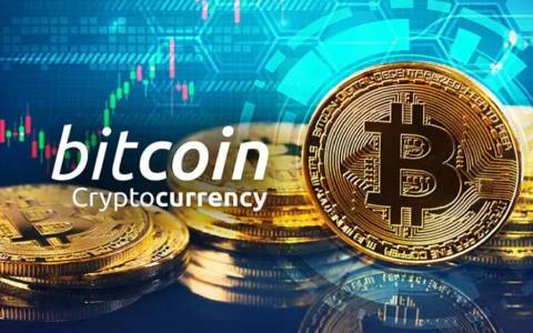 shib实时行情shib最新行情分析