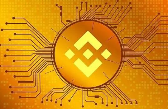 碧安app官网app下载安装手机版