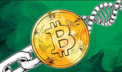 炒虚拟货币的平台盘点 虚拟货币正规交易app插图2