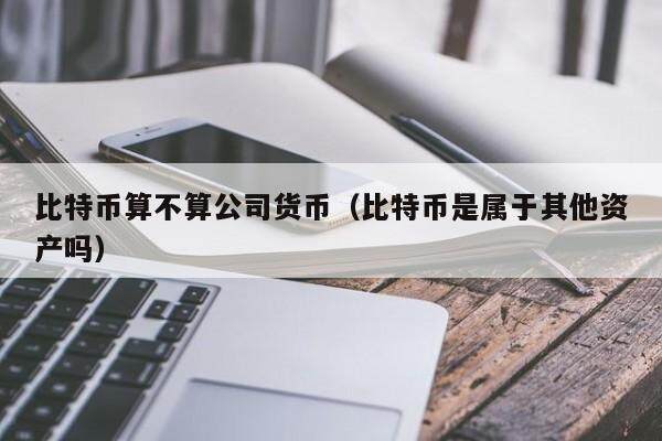 比特币算不算公司货币（比特币是属于其他资产吗）