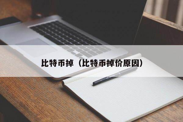 比特币掉（比特币掉价原因）