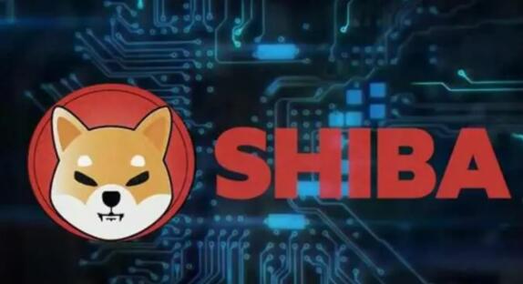 国内能交易比特币的平台_虚拟货币app官网排行插图4