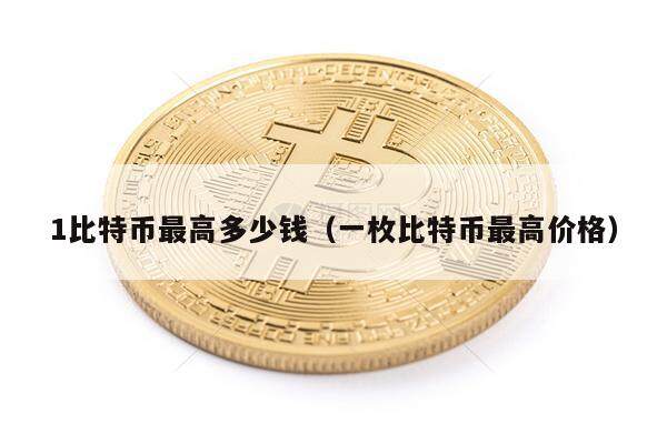 1比特币最高多少钱（一枚比特币最高价格）