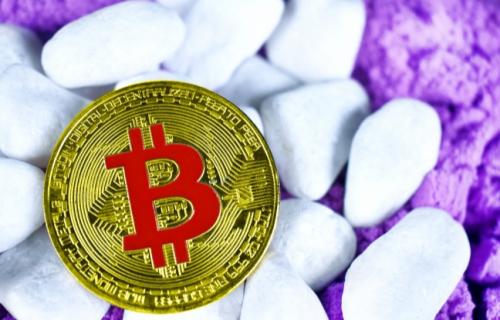 马蹄币价格最新消息（马蹄币今日价格行情走势）1