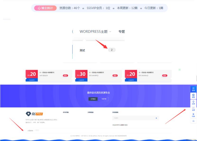 RiPro主题高级美化包支持最新版（附安装说明）