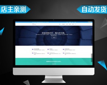 DIVI多用途响应式带移动设备端主题模板 升级版WordPress中文汉化版模板商业版免费下载
