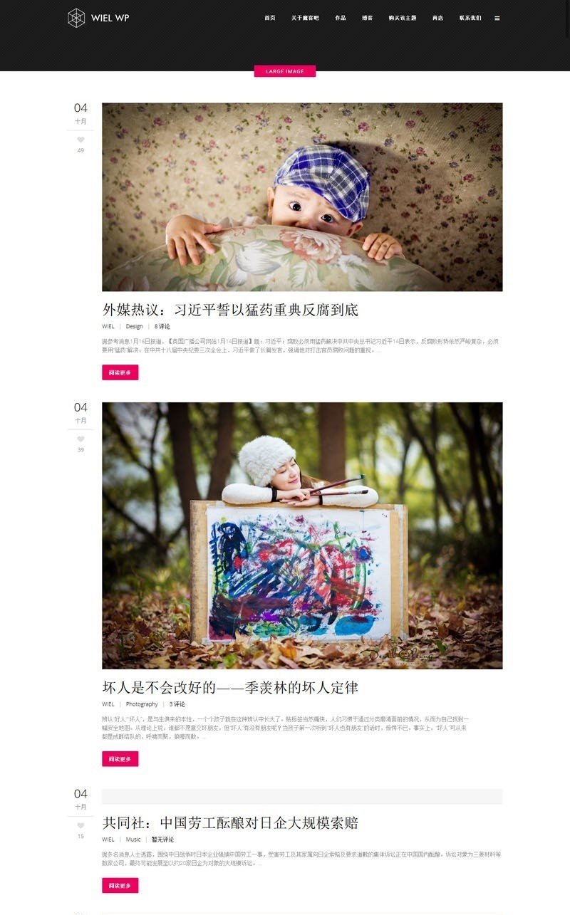 elision豪华级创意企业wordpress中文主题整站  +安装视频教程商业版免费下载