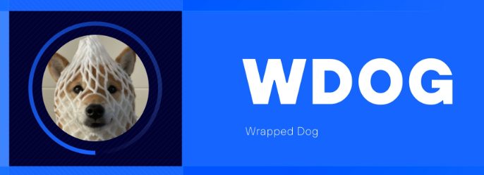 Wrapped Dog 的历史最高价