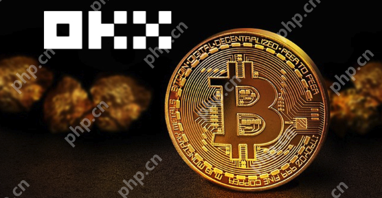 欧意链接最新 欧意okx平台官方最新链接 - php中文网
