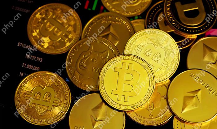 2013年比特币价格 - php中文网