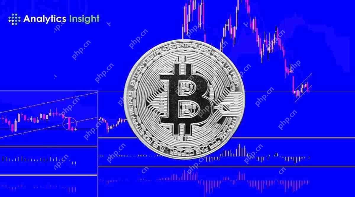 比特币和金故事情节硬币是两个资产的议程