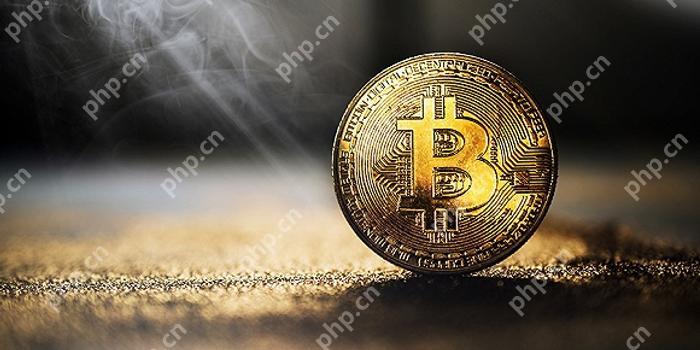 比特币如何向地址充值 - php中文网