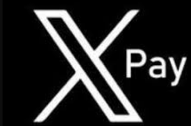 影响xpay币价格的因素有哪些？