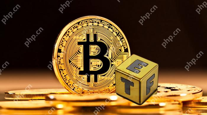 比特币ETF的投资组合如何配置？