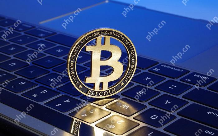 卖比特币的钱怎么转回国内 - php中文网