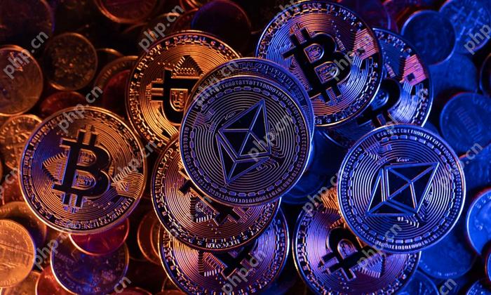 卖比特币的钱怎么转回国内 - php中文网
